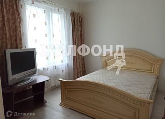 Продажа квартиры студии, 27.3 м2, Новосибирск, улица Александра Чистякова, 22, метро Студенческая