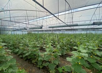 Продажа участка, 75 сот., посёлок Моревка