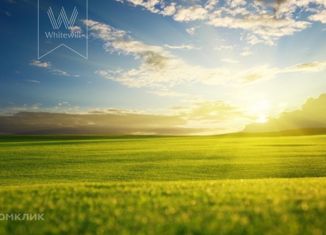 Продам участок, 246.9 сот., деревня Дубцы, деревня Дубцы, 54