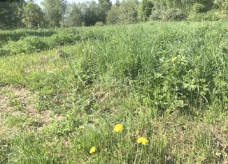 Продаю участок, 16 сот., деревня Свотиново, деревня Свотиново, 26