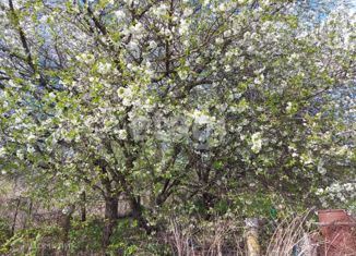 Продажа дома, 15 м2, посёлок Путёвка, Центральная улица