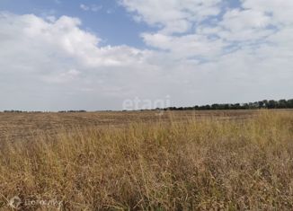 Земельный участок на продажу, 458 сот., станица Северская