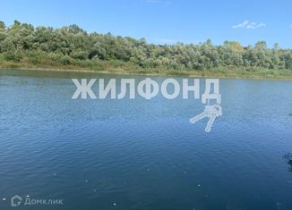 Продам дом, 60 м2, село Старый Искитим, Заречная улица