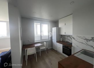 Сдается 1-ком. квартира, 40 м2, Санкт-Петербург, Заводская улица, 17, ЖК Пётр Великий и Екатерина Великая