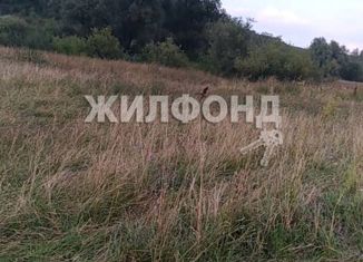 Продам участок, 10 сот., село Локти, Школьная улица