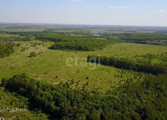 Продается земельный участок, 6906.3 сот., поселок Васильевский, Молодёжная улица, 6