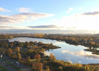 Продаю 1-комнатную квартиру, 35 м2, Санкт-Петербург, Выборгское шоссе, 35к1, метро Парнас