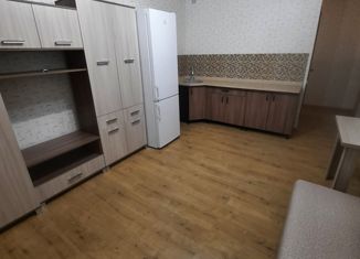 Продажа квартиры студии, 24 м2, посёлок Красное Поле, улица Авиаторов, 7