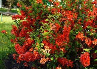 Продаю участок, 8.5 сот., деревня Шилово, Полевая улица