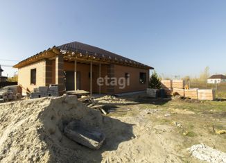 Продаю дом, 140 м2, деревня Есаулова, улица Гайдара, 13