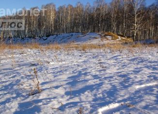 Продается участок, 50 сот., поселок Касиновский, посёлок Касиновский, 63