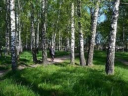 Дом на продажу, 43.4 м2, Йошкар-Ола, Водопроводная улица