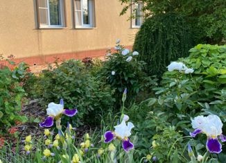 Продам дом, 366.9 м2, село Ивановское, Садовая улица, 10