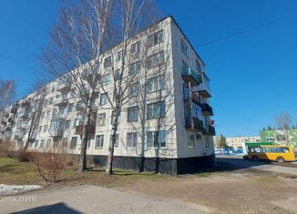 Продажа однокомнатной квартиры, 42.9 м2, деревня Лопухинка, Первомайская улица, 1