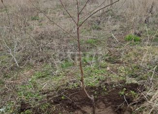 Продаю земельный участок, 5 сот., Новосельское сельское поселение