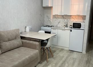 Продаю 1-ком. квартиру, 19.7 м2, сельский посёлок Новинки, Чкаловский проезд, 8, ЖК Окский Берег