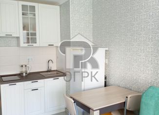 Квартира на продажу студия, 23 м2, Москва, Покровская улица, 17Ак3, метро Некрасовка