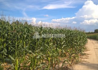 Продаю земельный участок, 1453 сот., Кокинское сельское поселение