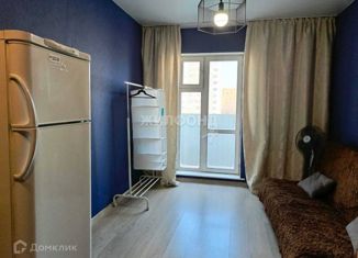 Продам квартиру студию, 20 м2, Новосибирск, улица Богдана Хмельницкого, 11, метро Заельцовская