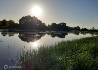 Участок на продажу, 13 сот., село Петровское