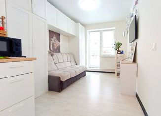 Продажа квартиры студии, 25 м2, посёлок Щеглово, посёлок Щеглово, 87