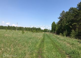 Продаю земельный участок, 688 сот., село Красный Яр, улица Ленина, 33