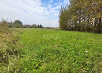 Продажа участка, 25 сот., село Городец