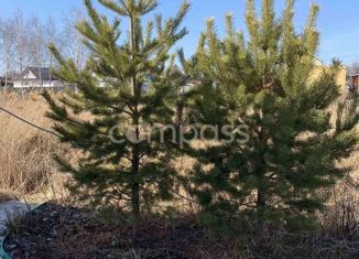 Продам дом, 40 м2, садовое товарищество Речник, Яблоневая улица