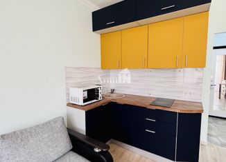 Сдача в аренду квартиры студии, 25 м2, Мурино, Ручьёвский проспект, 3к1