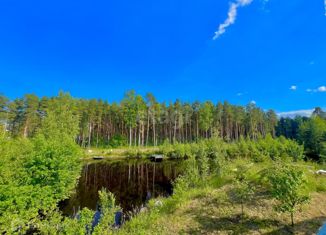 Продается участок, 7.2 сот., деревня Коккорево, Осиновецкая улица, 15