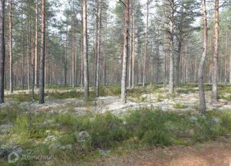 Продам участок, 25 сот., поселок Заходское