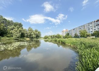 4-комнатная квартира на продажу, 85 м2, Белгородская область, улица Чапаева, 11