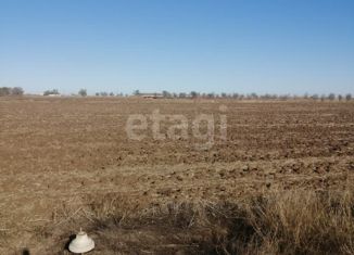 Продается земельный участок, 50 сот., село Михайловка