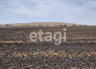 Участок на продажу, 525 сот., Чистенское сельское поселение