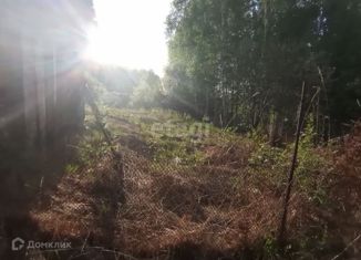 Продаю земельный участок, 3.5 сот., село Майма, улица Берёзовая Роща