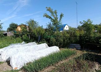 Продажа дома, 48 м2, Тобольск, 1-я Луговая улица, 34