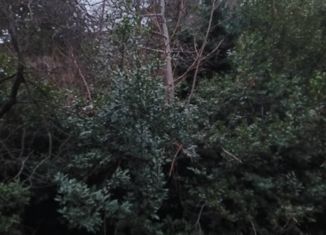 Продам земельный участок, 5 сот., Алупка, Средняя улица