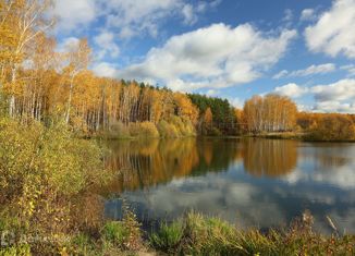 Продажа земельного участка, 15 сот., село Большие Кургузи, улица Марата Ахметшина, 3