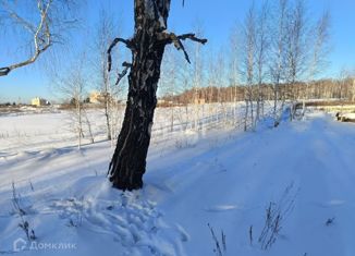 Продам участок, 12 сот., деревня Полетаево II-е