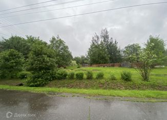 Продам земельный участок, 20 сот., деревня Турово, Рябиновая улица, 30