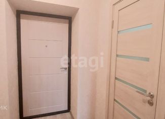 Продается 1-комнатная квартира, 23.35 м2, село Осиново, улица Марата Ахметшина, 3