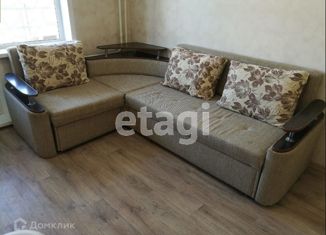 Двухкомнатная квартира в аренду, 43 м2, Новосибирск, улица Плахотного, 80, улица Плахотного