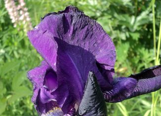 Продается участок, 10 сот., Искитим, Комсомольская улица