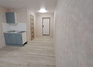 Однокомнатная квартира на продажу, 17.4 м2, Самара, Юбилейная улица, 34, метро Кировская