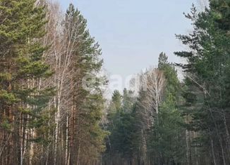 Участок на продажу, 11 сот., посёлок Сосновка