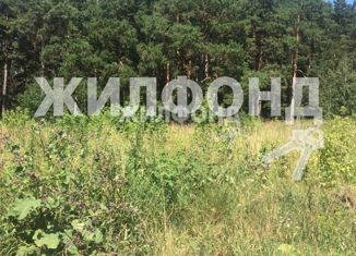 Продам земельный участок, 17 сот., поселок Факел Революции, улица Красный Факел