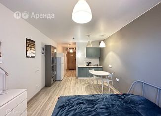 Сдача в аренду квартиры студии, 25 м2, Санкт-Петербург, улица Салова, 61