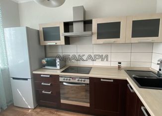 Аренда двухкомнатной квартиры, 50 м2, Красноярск, улица Мичурина, 14, Ленинский район