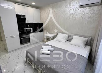 Продажа однокомнатной квартиры, 24 м2, посёлок городского типа Дагомыс, Старошоссейная улица