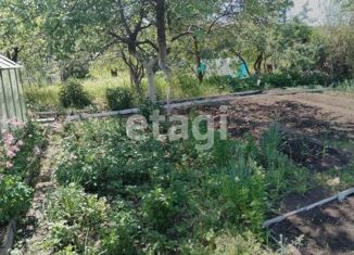 Земельный участок на продажу, 4 сот., СПК Северный-1, СПК Северный-1, 303